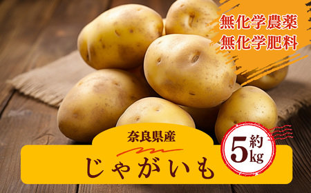 生命の農法（無化学農薬・無化学肥料栽培）じゃがいも（5kg）｜ヤサイ 野菜 やさい 根菜 じゃがいも ジャガイモ 奈良県 五條市 | 奈良県五條市 |  ふるさと納税サイト「ふるなび」