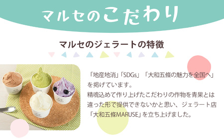 マルセのジェラート セット 80ml ×6( 6種 )| ジェラート アイス マルセグループ株式会社