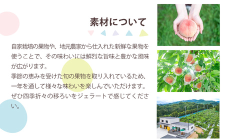 マルセのジェラート セット 80ml ×6( 6種 )| ジェラート アイス マルセグループ株式会社