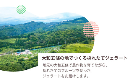 マルセのジェラート セット 80ml ×6( 6種 )| ジェラート アイス マルセグループ株式会社