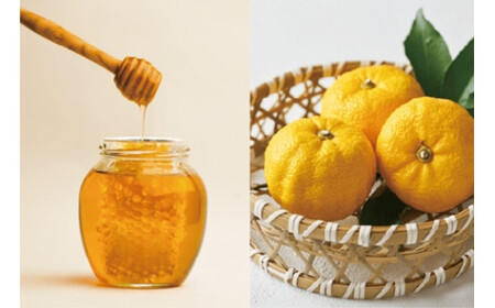 柚子のビネガードリンク はちみつ柚子ビネガー （２本セット） ／ SONAS 菩提樹はちみつ ゆず りんご酢 希釈用 奈良県 御所市