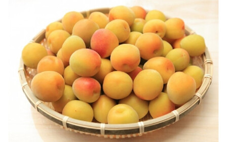 南高梅のビネガードリンク ゴールデンプラグビネガー （２本セット） ／ SONAS 有機栽培 青梅 南高梅 醸造酢 低温スチーミング 奈良県 御所市