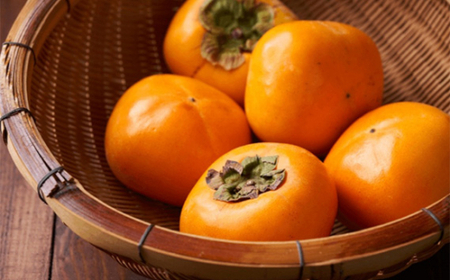 奈良づくし ／ SONAS 柿シロップ 天然の羊羹 ピクルスパック カレー風味 奈良県 御所市