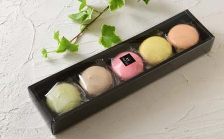 （冷凍） マカロン 5個入2箱 と クッキー 20枚入2箱 ／ patisserie petit ami スイーツ お菓子 大きめサイズ 奈良県 御所市