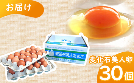 （常温）美人たまご 30個 Mサイズ ／ 西川養鶏場 生卵 鶏卵 タマゴ 特産品 奈良県 御所市