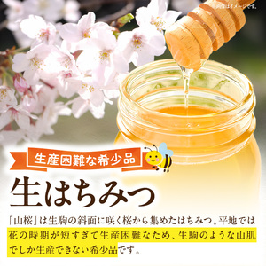 生駒で採れたはちみつ「山桜」 500g 自然の恵みを味わう 国産 生はちみつ 山桜 500g 1本 純粋はちみつ ミツバチ 非加熱 非調合 希少 甘い香り 野生的な力強さ インパクト 食品 瓶 吉岡養蜂園 お取り寄せ 防災 備蓄 奈良県 生駒市 送料無料