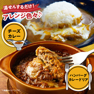 マハール　辛口カレーセット　カレー 辛口 チルド 本格 手作り 熟成 まろやか こだわり おいしい おもてなし 贈り物 ギフト プレゼント 奈良県 生駒市 送料無料
