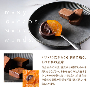 オランジェット 4個入りセット チョコレート オレンジ オレンジピール 砂糖漬け ビター 酸味 おやつ スイーツ デザート 洋菓子 贈り物 手土産 プレゼント クラシック 冷蔵 奈良県 生駒市 送料無料