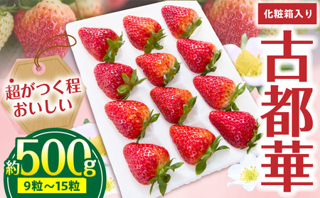 【2026年1月～3月上旬発送】「古都華」化粧箱入りいちご 甘みと酸味のバランスが抜群 古都華 いちご 1パック 9~15粒 化粧箱 生駒いちご園 果物 フルーツ デザート 贈り物 お取り寄せ お取り寄せフルーツ 奈良県 生駒市 送料無料