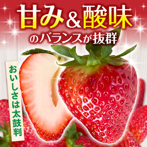 【2026年1月～3月上旬発送】「古都華」化粧箱入りいちご 甘みと酸味のバランスが抜群 古都華 いちご 1パック 9~15粒 化粧箱 生駒いちご園 果物 フルーツ デザート 贈り物 お取り寄せ お取り寄せフルーツ 奈良県 生駒市 送料無料