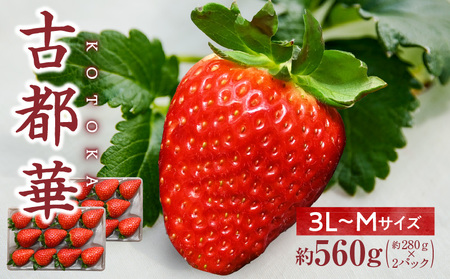 【2026年1月発送】高級いちご「古都華」3L～Mサイズ2パック　先行予約 ことか 甘い 糖度 濃い 濃厚 果汁 香り 朝摘み いちご イチゴ 苺 フルーツ 果物 くだもの ご褒美 ごほうび 贈答 贈り物 ギフト プレゼント 冷蔵 奈良県 生駒市 送料無料