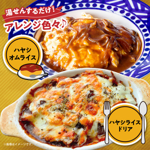 マハール　ハヤシ10個セット チルド 本格 手作り 熟成 まろやか こだわり おいしい おもてなし 贈り物 ギフト プレゼント 奈良県 生駒市 送料無料