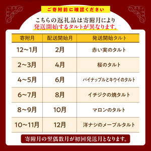 偶数月に届く！季節のタルト定期便6回　焼き菓子 ドイツ菓子 誕生日 奈良県 生駒市 お取り寄せ タルト ケーキ スイーツ デザート おやつ 洋菓子 熨斗対応 冷凍 送料無料