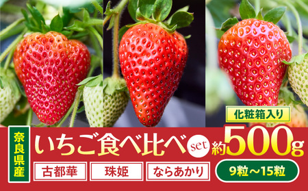 2026年1月～2026年3月上旬発送】「奈良県産いちご3種セット」化粧