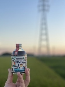 ワールドコネクトコーラ（コーラシロップ250ml×2本セット計量スプーン付き） 飲料 飲み物 コーラ ワールドコネクトコーラ コーラシロップ 250ml 2本 セット 計量スプーン クラフトコーラ 厳選スパイス 和漢ハーブ 大和当帰 橘 着色料 保存料 無添加 お取り寄せ 奈良県 生駒市 送料無料