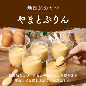 無添加おやつ「やまとぷりん」5個セット プリン 無添加 おやつ やまと 