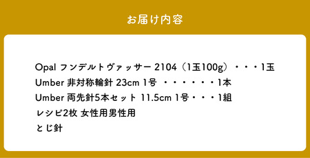 59907【Seeknit】非対称輪針で編む大人ソックスのキット【2104】 初心者にオススメ 大人ソックスのキット おしゃれ 靴下 ソックス 編み図 女性用 男性用 竹製編み針 Seeknit 奈良県 生駒市 お取り寄せ 簡単 キット 日用品 雑貨 竹製品 編み針 道具 手芸 小物 ハンドメイド 送料無料