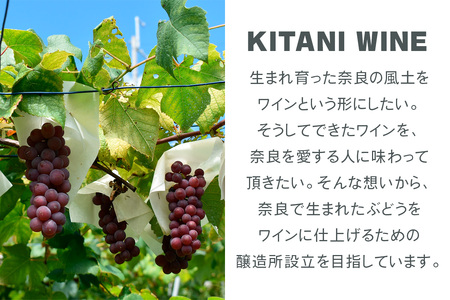 甲州ペティアン 2024 (750ml×1本)｜ワイン 果実酒 奈良 香芝 [3000]