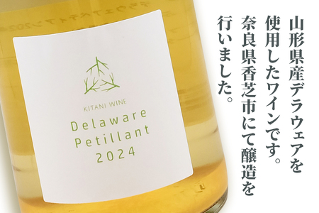デラウェアペティアン 2024 (750ml×1本)｜ワイン 果実酒 奈良 香芝 [3004]