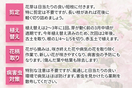 沖縄　ふるさと自然百科　復帰20周年記念企画 沖縄 ふるさと自然百科 復帰20周年記念企画