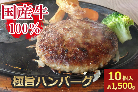 [牛壱] 国産ハンバーグ10個(約1500g) [2251]