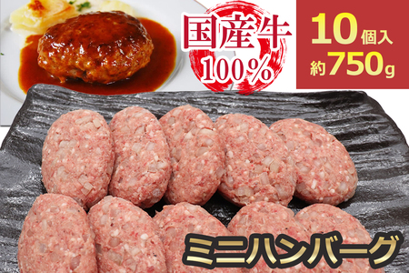 [牛壱] 国産牛100% ミニハンバーグ 75g×10個 [2334]