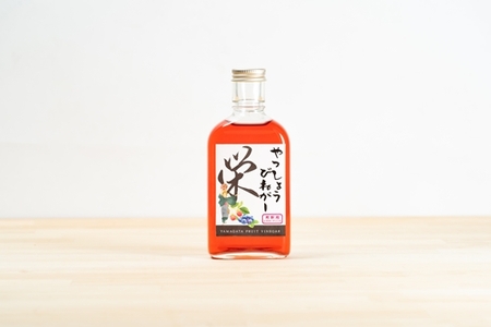 Jリーガー藤嶋栄介×pickles-ya(共同開発) ベリーのビネガードリンク (希釈用) やっしょうびねがー (2本セット) / SONAS コラボ商品 ブルーベリー 奈良県 葛城市【sona006】