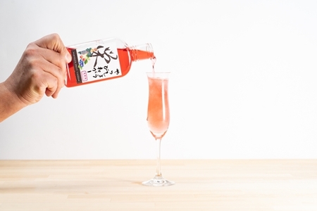 Jリーガー藤嶋栄介×pickles-ya(共同開発) ベリーのビネガードリンク (希釈用) やっしょうびねがー (2本セット) / SONAS コラボ商品 ブルーベリー 奈良県 葛城市【sona006】