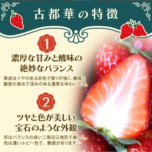 いちご 古都華 いちご L~2Lサイズ 270g×2P 計540g 【nsdf002】