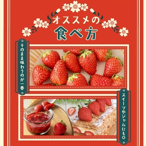 いちご 古都華 いちご L~2Lサイズ 270g×2P 計540g 【nsdf002】