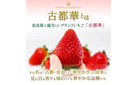 ブランド苺 新鮮 古都華 (小粒) 約500g [250g×2パック] 【2026年1月上旬～5月下旬に順次発送】／ スマイル葛城農業 ブランド いちご 苺 ことか イチゴ スイーツ フルーツ 甘い 果物 奈良県 葛城市【smlk006】