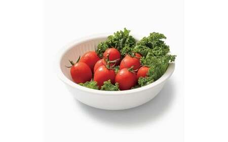 米とぎにも使える ザル ボウル 浅型 LBK-02  ベージュ ／キッチン用品 調理器具 耐熱 重ねて収納 コンパクト ライクイット like-it【like022-7】