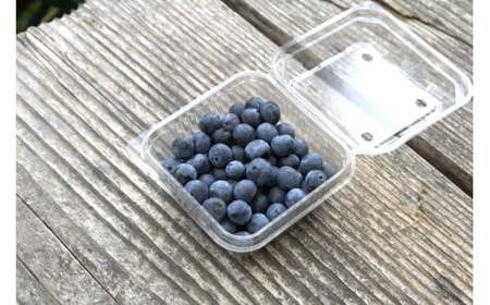 手摘みブルーベリー 100g×3個 【2026年7月中旬頃～8月中旬頃順次発送】／ 葛城 高原 牧場 【latt029】