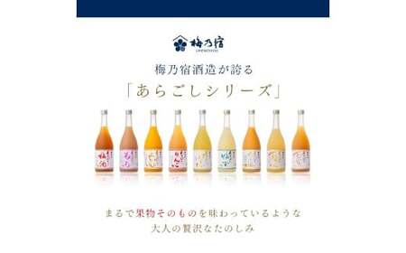 梅乃宿 あらごしシリーズ と 梅酒 飲み比べ 【12ヵ月定期便】毎月720ml×１本 ／ 定期便 梅乃宿酒造 お酒 リキュール ギフト 贈り物 プレゼント 人気 メーカー直送 みっく酒 ゆず みかん 梅酒 もも 果実 奈良県 葛城市【umyd-tkb003】