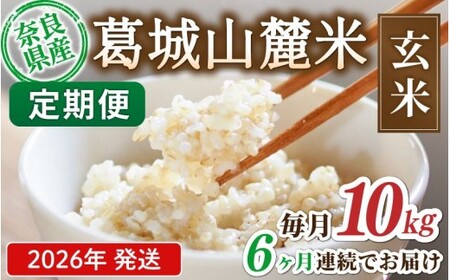 玄米 先行予約 ※6ヶ月定期便※ 葛城山麓米 ヒノヒカリ（玄米）10kg ×6ヶ月 令和8年産 【2026年11月・12月・2027年1月・2月・3月・4月発送】【smlk-tkb012】
