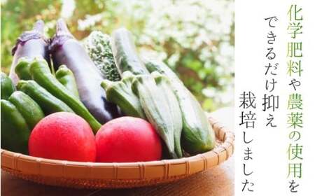 野菜 奈良県産 季節の大和野菜 おまかせ6種セット 【入金確認後2週間以内に発送】 葛城市【smlk041】