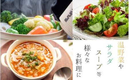 野菜 奈良県産 季節の大和野菜 おまかせ6種セット 【入金確認後2週間以内に発送】 葛城市【smlk041】