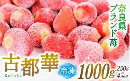 いちご 冷凍 古都華 約1kg [250g×4パック] 【2026年5月上旬～6月下旬に順次発送】葛城市【smlk030】