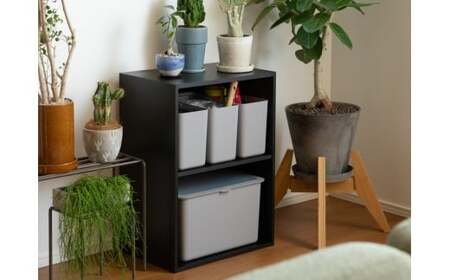 ハンドル付きストックケース スリム 2個組　LBK-53 2P ホワイト (3色からお好きなカラーが選べる)  葛城市 ライクイット like-it【like102-1】