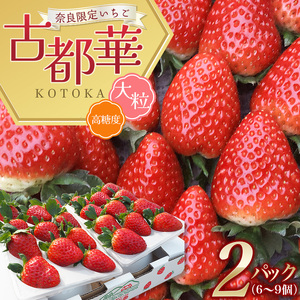 （冷蔵）大粒 古都華 イチゴ ２パック ／ 寺田農園 希少 プレミアム 高糖度 酸味 バランスの良い 苺 奈良県 葛城市【trdf001】