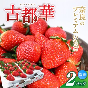 （冷蔵）大粒 古都華 イチゴ ２パック ／ 寺田農園 希少 プレミアム 高糖度 酸味 バランスの良い 苺 奈良県 葛城市【trdf001】