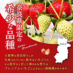 （冷蔵）大粒 古都華 イチゴ ２パック ／ 寺田農園 希少 プレミアム 高糖度 酸味 バランスの良い 苺 奈良県 葛城市【trdf001】