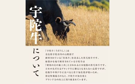 特産 認定肉 宇陀牛 国産 黒毛和牛 特上 焼肉 約800g チルド / 宇陀 山繁 ふるさと納税 牛肉 レア 人気 バーベキュー キャンプ 寄付 ランキング おすすめ グルメ 肉 返礼品 送料無料 