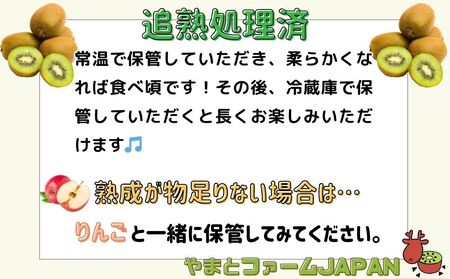 ＜12月以降順次発送＞プレミアムキウイフルーツ 2L サイズ 11個入 追熟処理済／ ふるさと納税 キウイ キウイフルーツ ギフト 栄養 果物 お土産 化学肥料不使用 特別栽培 塩 奈良県 宇陀市 やまとファームJAPAN