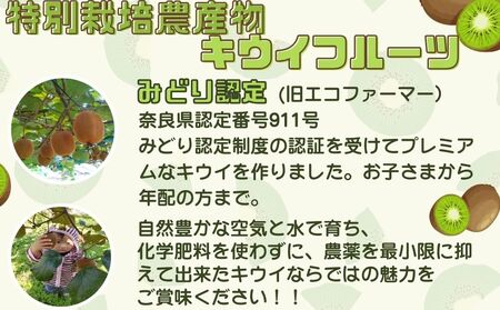 ＜12月以降順次発送＞プレミアムキウイフルーツ 2L サイズ 11個入 追熟処理済／ ふるさと納税 キウイ キウイフルーツ ギフト 栄養 果物 お土産 化学肥料不使用 特別栽培 塩 奈良県 宇陀市 やまとファームJAPAN