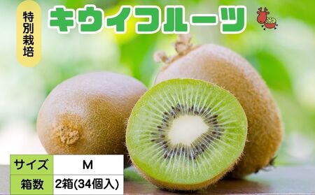 ＜12月以降順次発送＞ こだわり プレミアムキウイフルーツ Mサイズ 17個×2箱入 追熟処理済／ ふるさと納税 キウイ キウイフルーツ ギフト 栄養 果物 お土産 化学肥料不使用 特別栽培 塩 奈良県 宇陀市 やまとファームJAPAN