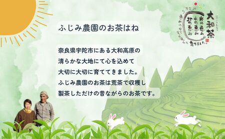 初茶４袋セット / ふじみ農園 緑茶 安心 安全 無農薬 奈良県 宇陀市