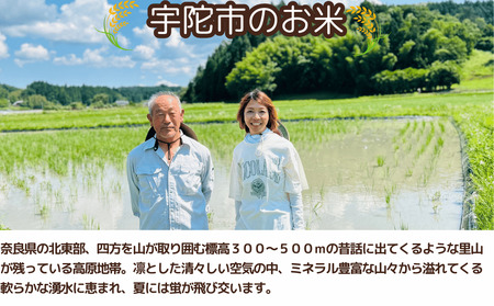 先行予約販売★自然栽培米★新米【令和6年産】玄米　 3kg ９月末より順次発送/自然栽培米 新米 令和6年産 玄米 農家やまおか 無農薬 国産 お米 奈良県 宇陀市　お米 玄米 無添加 無農薬 お米 玄米 無添加 無農薬 お米 玄米 無添加 無農薬 お米 玄米 無添加 無農薬 お米 玄米 無添加 無農薬 お米 玄米 無添加 無農薬 お米 玄米 無添加 無農薬 お米 玄米 無添加 無農薬 お米 玄米 無添加 無農薬 お米 玄米 