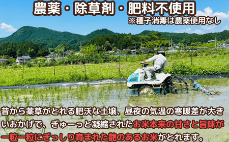 先行予約★自然栽培米 ★定期便 毎月６回★新米 【令和6年産 】　玄米　2kg ９月末より順次発送 / 自然栽培米 新米 令和6年産 玄米 農家やまおか 無農薬 国産 お米 奈良県 宇陀市 お米 玄米 無添加 無農薬 お米 玄米 無添加 無農薬 お米 玄米 無添加 無農薬 お米 玄米 無添加 無農薬 お米 玄米 無添加 無農薬 お米 玄米 無添加 無農薬 お米 玄米 無添加 無農薬 お米 玄米 無添加 無農薬 お米 玄米 無添加 