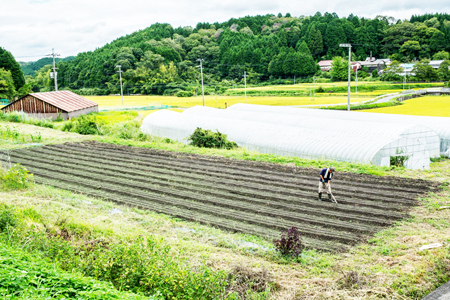 農家の手作りドリンクセット 飲みきりサイズ3種 計12本／ トマト とまと ブルーベリー にんじん 人参 りんご ジュース 野菜ジュース 飲料 贈り物 ギフト 畑工房気まま屋 奈良県 宇陀市 ふるさと納税
